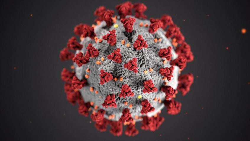 Coronavirus (COVID-19)